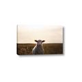 Picture of Grazing Sheep  _GroupedProduct_Rectangle_Landscape_Photography _GroupedProduct_Rectangle_Landscape_Canvas_