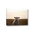 Picture of Grazing Sheep  _GroupedProduct_Rectangle_Landscape_Photography _GroupedProduct_Rectangle_Landscape_Canvas_