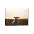 Picture of Grazing Sheep  _GroupedProduct_Rectangle_Landscape_Photography _GroupedProduct_Rectangle_Landscape_Canvas_