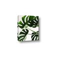 Picture of Green Palms _GroupedProduct_Rectangle_Portrait_Photography _GroupedProduct_Rectangle_Portrait_Canvas_