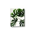 Picture of Green Palms _GroupedProduct_Rectangle_Portrait_Photography _GroupedProduct_Rectangle_Portrait_Canvas_