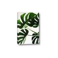 Picture of Green Palms _GroupedProduct_Rectangle_Portrait_Photography _GroupedProduct_Rectangle_Portrait_Canvas_