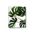 Picture of Green Palms _GroupedProduct_Rectangle_Portrait_Photography _GroupedProduct_Rectangle_Portrait_Canvas_