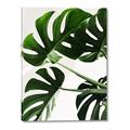 Picture of Green Palms _GroupedProduct_Rectangle_Portrait_Photography _GroupedProduct_Rectangle_Portrait_Canvas_