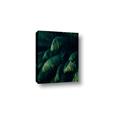Picture of Greenleaf I _GroupedProduct_Rectangle_Portrait_Photography _GroupedProduct_Rectangle_Portrait_Canvas_