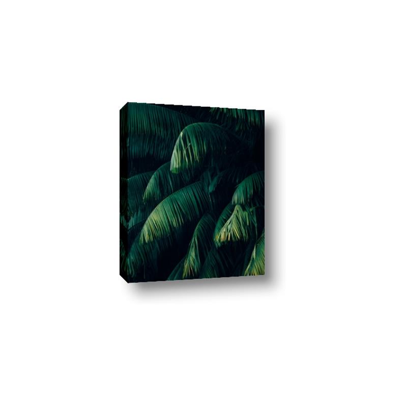 Picture of Greenleaf I _GroupedProduct_Rectangle_Portrait_Photography _GroupedProduct_Rectangle_Portrait_Canvas_