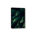 Picture of Greenleaf I _GroupedProduct_Rectangle_Portrait_Photography _GroupedProduct_Rectangle_Portrait_Canvas_