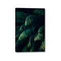 Picture of Greenleaf I _GroupedProduct_Rectangle_Portrait_Photography _GroupedProduct_Rectangle_Portrait_Canvas_