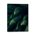 Picture of Greenleaf I _GroupedProduct_Rectangle_Portrait_Photography _GroupedProduct_Rectangle_Portrait_Canvas_