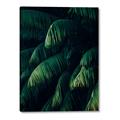 Picture of Greenleaf I _GroupedProduct_Rectangle_Portrait_Photography _GroupedProduct_Rectangle_Portrait_Canvas_