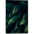 Picture of Greenleaf I _GroupedProduct_Rectangle_Portrait_Photography _GroupedProduct_Rectangle_Portrait_Canvas_
