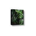 Picture of Greenleaf II _GroupedProduct_Rectangle_Portrait_Photography _GroupedProduct_Rectangle_Portrait_Canvas_