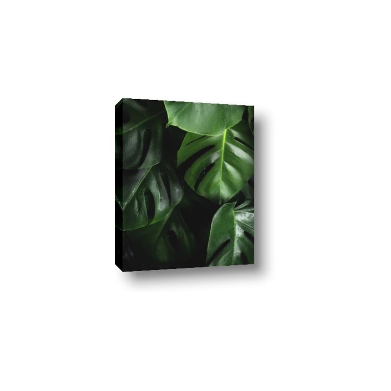 Picture of Greenleaf II _GroupedProduct_Rectangle_Portrait_Photography _GroupedProduct_Rectangle_Portrait_Canvas_