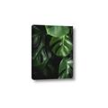 Picture of Greenleaf II _GroupedProduct_Rectangle_Portrait_Photography _GroupedProduct_Rectangle_Portrait_Canvas_