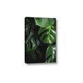 Picture of Greenleaf II _GroupedProduct_Rectangle_Portrait_Photography _GroupedProduct_Rectangle_Portrait_Canvas_