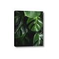 Picture of Greenleaf II _GroupedProduct_Rectangle_Portrait_Photography _GroupedProduct_Rectangle_Portrait_Canvas_