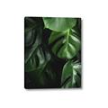 Picture of Greenleaf II _GroupedProduct_Rectangle_Portrait_Photography _GroupedProduct_Rectangle_Portrait_Canvas_