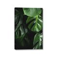 Picture of Greenleaf II _GroupedProduct_Rectangle_Portrait_Photography _GroupedProduct_Rectangle_Portrait_Canvas_
