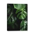 Picture of Greenleaf II _GroupedProduct_Rectangle_Portrait_Photography _GroupedProduct_Rectangle_Portrait_Canvas_