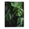 Picture of Greenleaf II _GroupedProduct_Rectangle_Portrait_Photography _GroupedProduct_Rectangle_Portrait_Canvas_