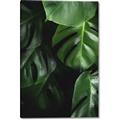 Picture of Greenleaf II _GroupedProduct_Rectangle_Portrait_Photography _GroupedProduct_Rectangle_Portrait_Canvas_
