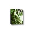 Picture of Greenleaf III _GroupedProduct_Rectangle_Portrait_Photography _GroupedProduct_Rectangle_Portrait_Canvas_