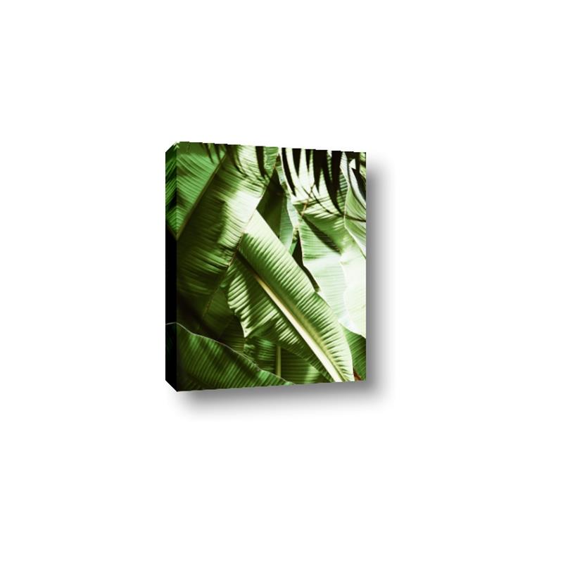 Picture of Greenleaf III _GroupedProduct_Rectangle_Portrait_Photography _GroupedProduct_Rectangle_Portrait_Canvas_