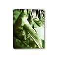 Picture of Greenleaf III _GroupedProduct_Rectangle_Portrait_Photography _GroupedProduct_Rectangle_Portrait_Canvas_