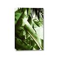 Picture of Greenleaf III _GroupedProduct_Rectangle_Portrait_Photography _GroupedProduct_Rectangle_Portrait_Canvas_