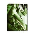 Picture of Greenleaf III _GroupedProduct_Rectangle_Portrait_Photography _GroupedProduct_Rectangle_Portrait_Canvas_