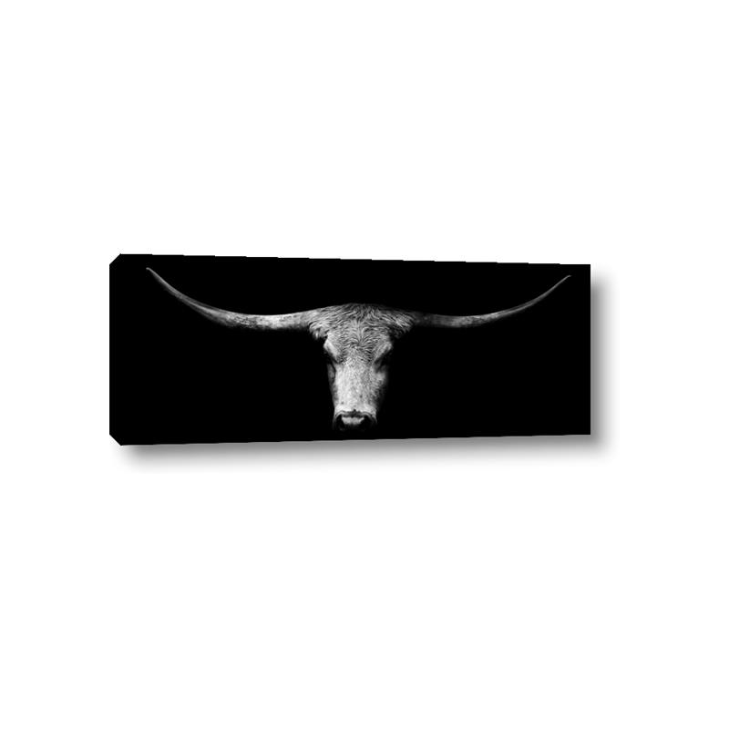 Picture of Horns _GroupedProduct_Panel_Landscape_Photography _GroupedProduct_Panel_Landscape_Canvas_