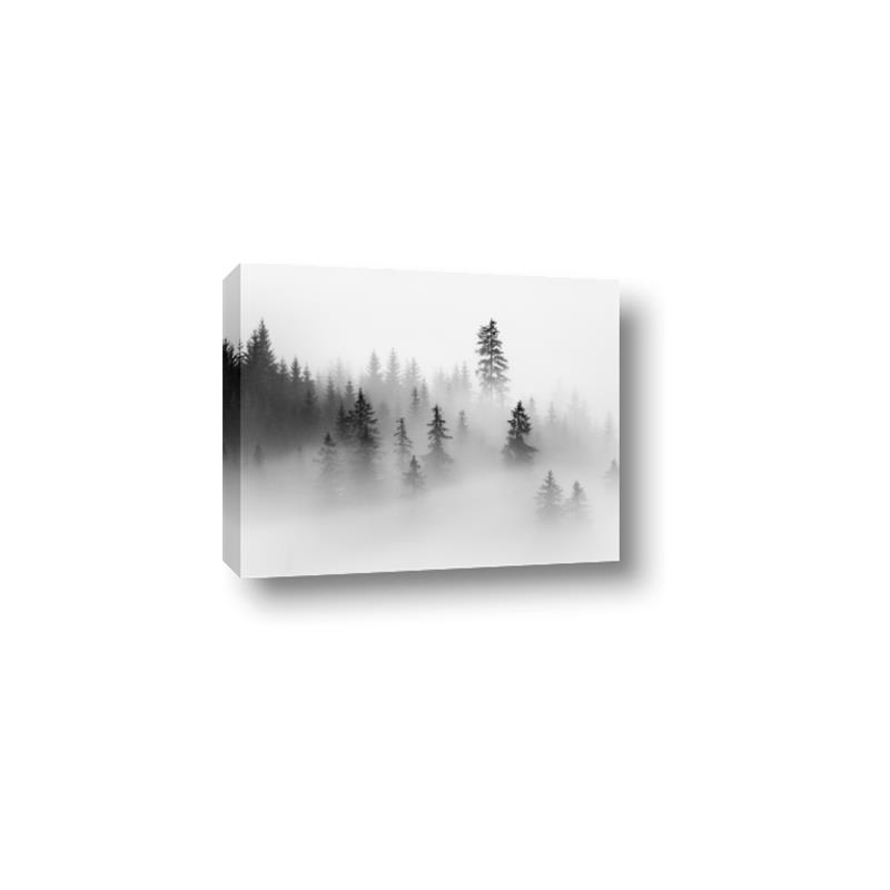 Picture of In the Fog _GroupedProduct_Rectangle_Landscape_Photography _GroupedProduct_Rectangle_Landscape_Canvas_