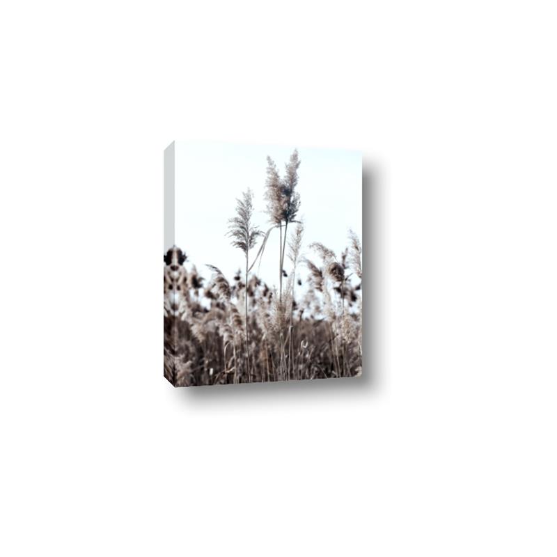 Picture of In the Fields _GroupedProduct_Rectangle_Portrait_Photography _GroupedProduct_Rectangle_Portrait_Canvas_