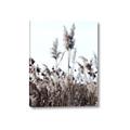 Picture of In the Fields _GroupedProduct_Rectangle_Portrait_Photography _GroupedProduct_Rectangle_Portrait_Canvas_