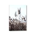 Picture of In the Fields _GroupedProduct_Rectangle_Portrait_Photography _GroupedProduct_Rectangle_Portrait_Canvas_