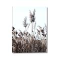 Picture of In the Fields _GroupedProduct_Rectangle_Portrait_Photography _GroupedProduct_Rectangle_Portrait_Canvas_