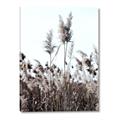 Picture of In the Fields _GroupedProduct_Rectangle_Portrait_Photography _GroupedProduct_Rectangle_Portrait_Canvas_
