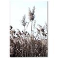 Picture of In the Fields _GroupedProduct_Rectangle_Portrait_Photography _GroupedProduct_Rectangle_Portrait_Canvas_