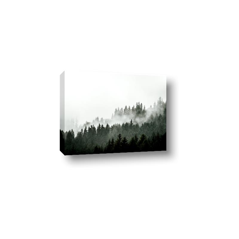 Picture of In the Mist _GroupedProduct_Rectangle_Landscape_Photography _GroupedProduct_Rectangle_Landscape_Canvas_