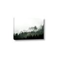 Picture of In the Mist _GroupedProduct_Rectangle_Landscape_Photography _GroupedProduct_Rectangle_Landscape_Canvas_