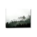 Picture of In the Mist _GroupedProduct_Rectangle_Landscape_Photography _GroupedProduct_Rectangle_Landscape_Canvas_