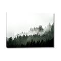 Picture of In the Mist _GroupedProduct_Rectangle_Landscape_Photography _GroupedProduct_Rectangle_Landscape_Canvas_