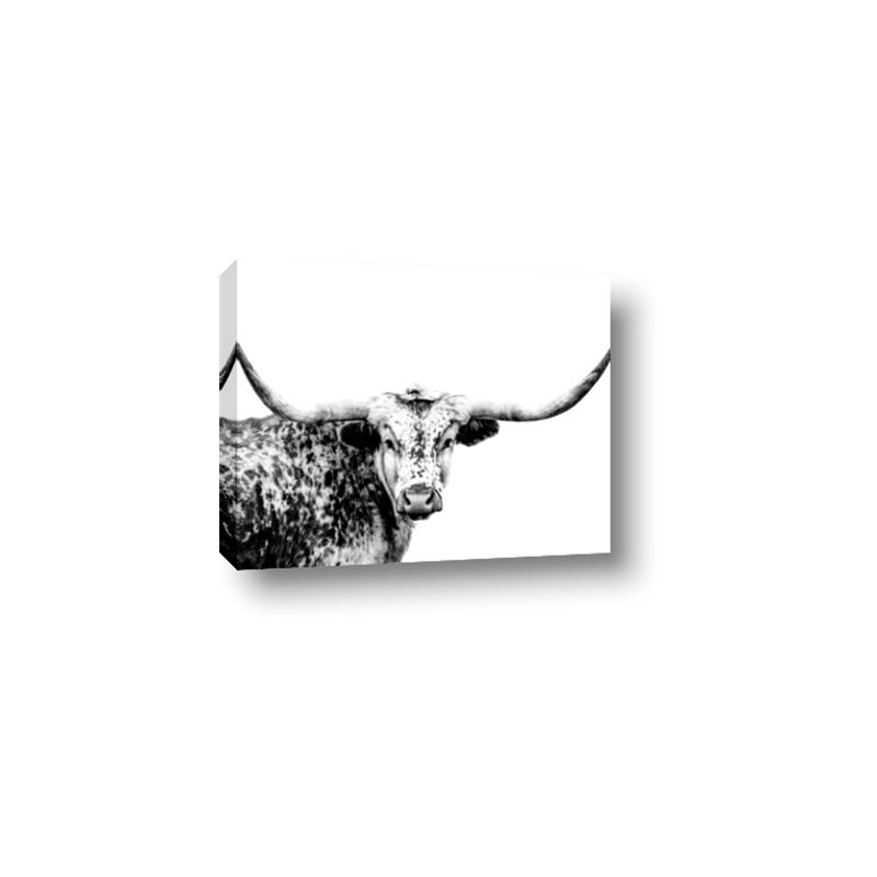 Picture of Jackson, The Bull  _GroupedProduct_Rectangle_Landscape_Photography _GroupedProduct_Rectangle_Landscape_Canvas_