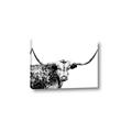 Picture of Jackson, The Bull  _GroupedProduct_Rectangle_Landscape_Photography _GroupedProduct_Rectangle_Landscape_Canvas_