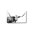 Picture of Jackson, The Bull  _GroupedProduct_Rectangle_Landscape_Photography _GroupedProduct_Rectangle_Landscape_Canvas_