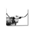 Picture of Jackson, The Bull  _GroupedProduct_Rectangle_Landscape_Photography _GroupedProduct_Rectangle_Landscape_Canvas_