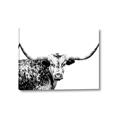 Picture of Jackson, The Bull  _GroupedProduct_Rectangle_Landscape_Photography _GroupedProduct_Rectangle_Landscape_Canvas_