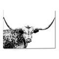 Picture of Jackson, The Bull  _GroupedProduct_Rectangle_Landscape_Photography _GroupedProduct_Rectangle_Landscape_Canvas_