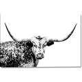 Picture of Jackson, The Bull  _GroupedProduct_Rectangle_Landscape_Photography _GroupedProduct_Rectangle_Landscape_Canvas_