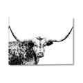 Picture of Jackson, The Bull  _GroupedProduct_Rectangle_Landscape_Photography _GroupedProduct_Rectangle_Landscape_Canvas_